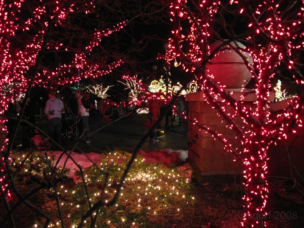 Toledo Zoo Lights 2008 039.jpg - The regular visit to the Toledo Ohio Zoo to see the Christmas Lights displays. New this trip were the "Dancing Lights", displays flashing in time with the Christmas Songs.